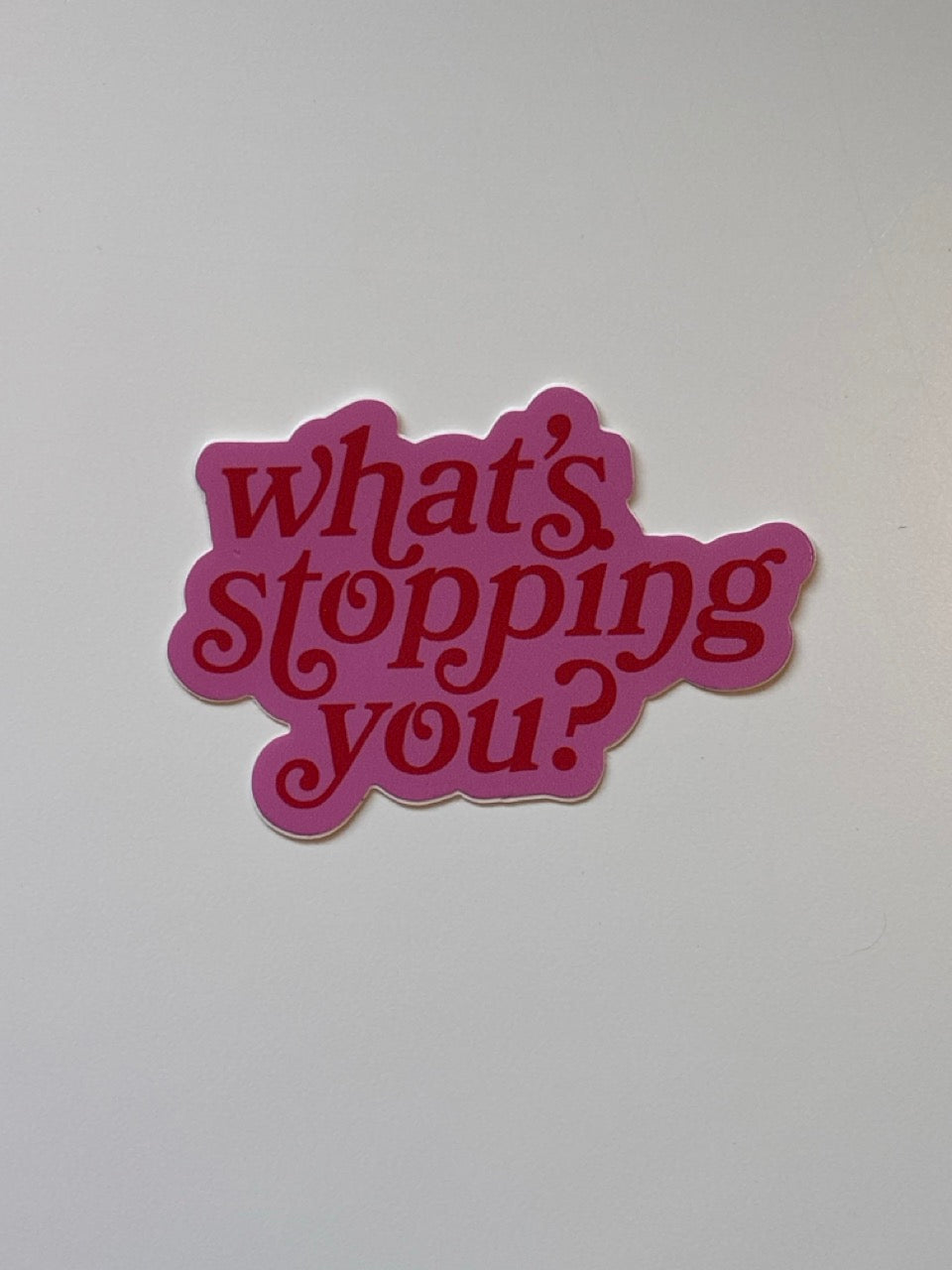 What's Stopping You Sticker